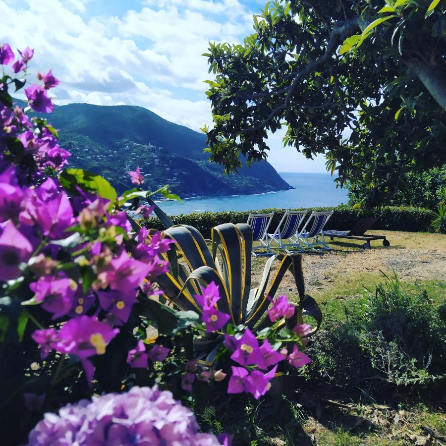 Villa Venino Moneglia Zewnętrze zdjęcie